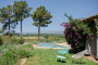 Lawned areas